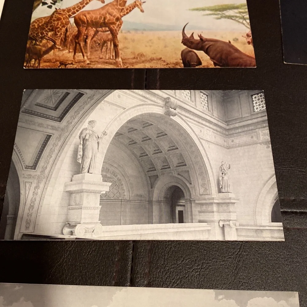 9 Vintage postcards of Chicago. 6 are of the natural history museum circa 1940